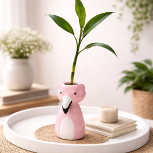نبتة الخيزران الطبيعي في أصيص فلامنغو سيراميك وردي