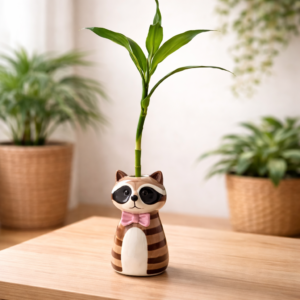 نبتة الخيزران الطبيعي في أصيص راكون سيراميك بني