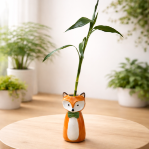 نبتة الخيزران الطبيعي في أصيص ثعلب سيراميك برتقالي